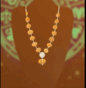 The Siddha Mala-1 mukhi rudraksha