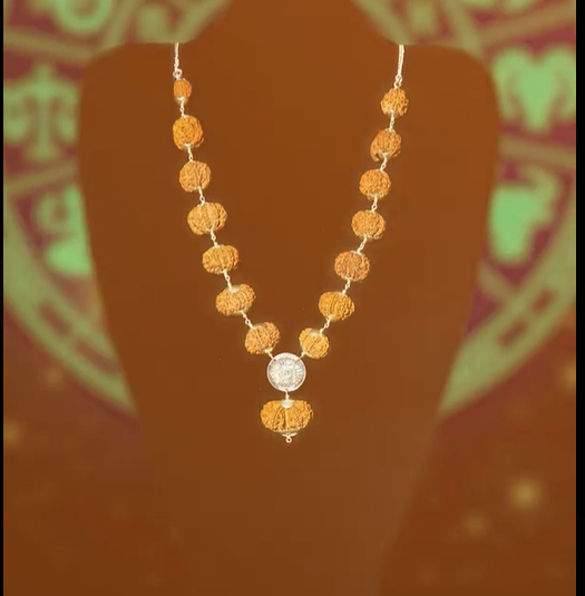 The Siddha Mala-1 mukhi rudraksha