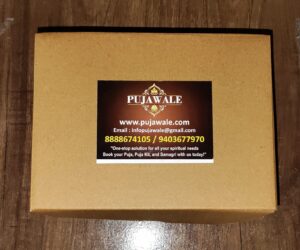 Navgrah Shanti Pooja Kit